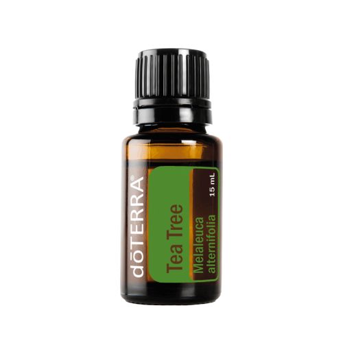 Arbol de Té o Melaleuca Aceite Esencial 15ml