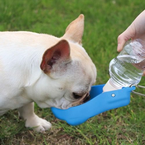 Botella de agua con soporte y bandeja plegable para mascotas